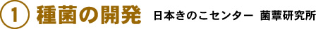 quality01.jpg