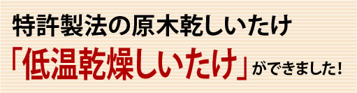 特許製法の原木栽培★乾しいたけ 「低温乾燥しいたけ」ができました！