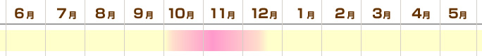 hiratake_outb.jpg